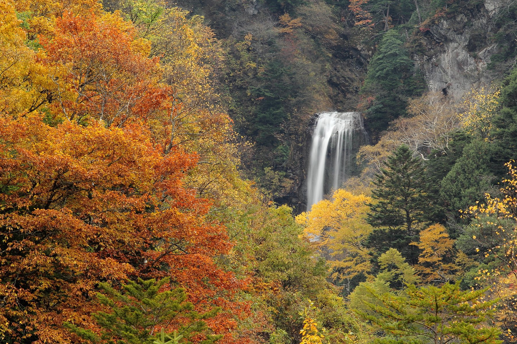平湯大滝、秋