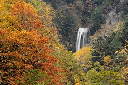 平湯大滝、秋