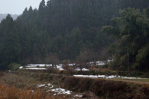 大雨から雪に・・。