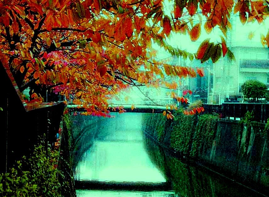 朝靄