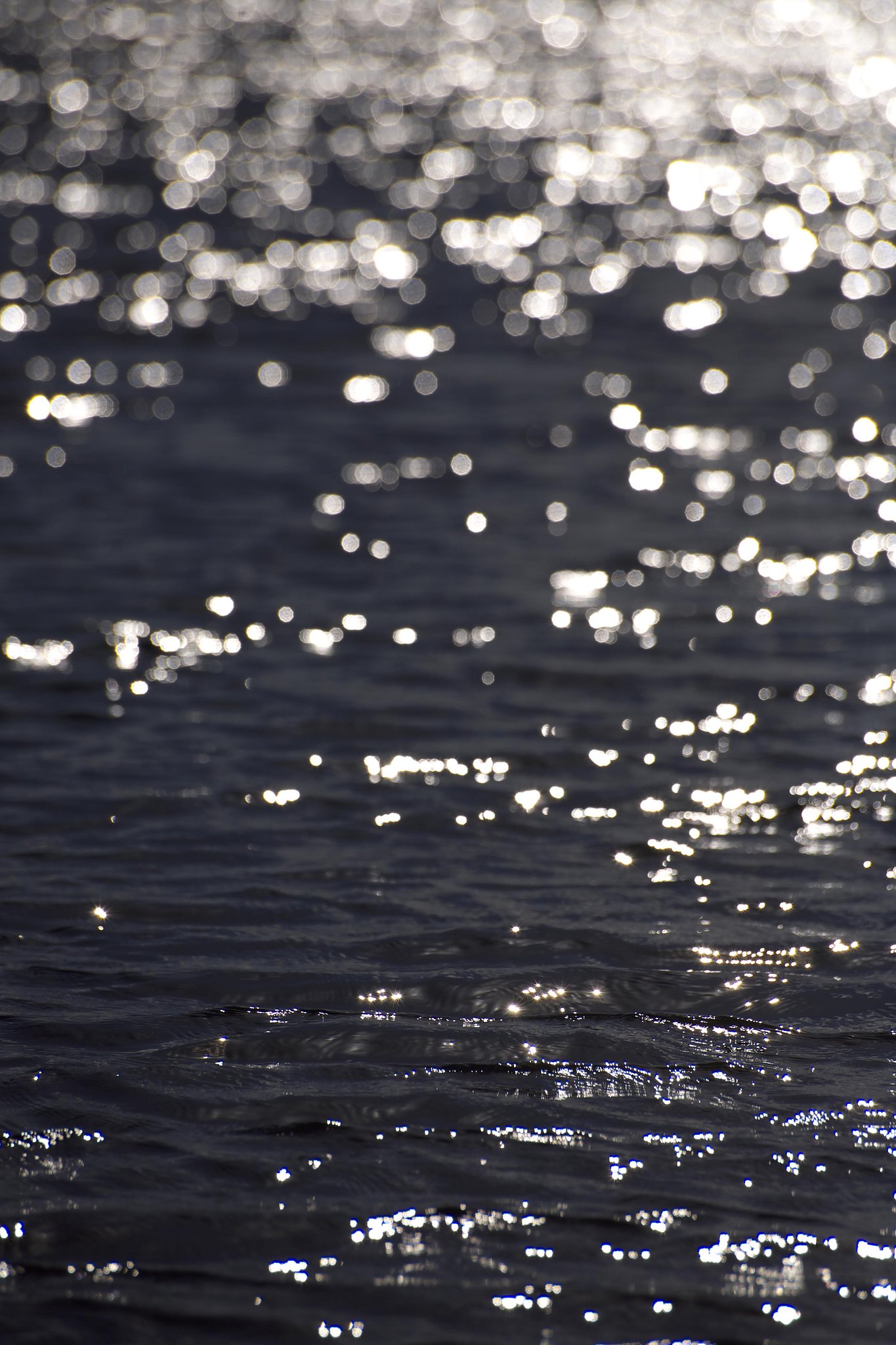 reflection