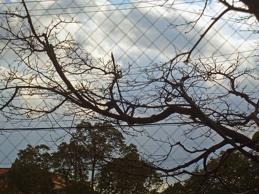 冬空
