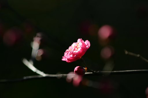 待ち焦がれて