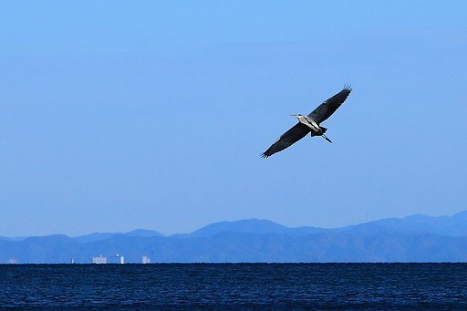 風を受けて