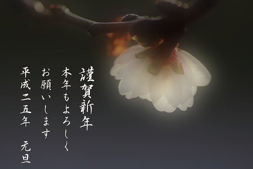 明けましておめでとうございます