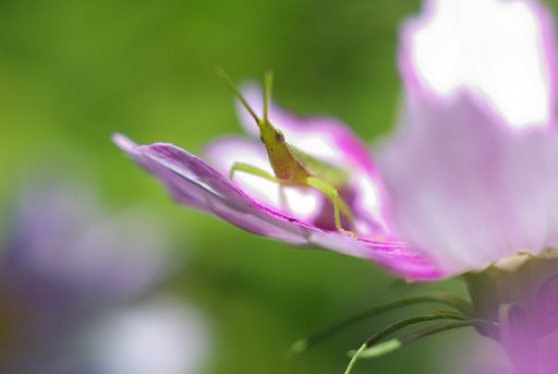 こんにちは