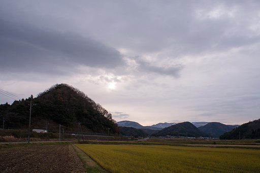 少しだけ朝の光が。