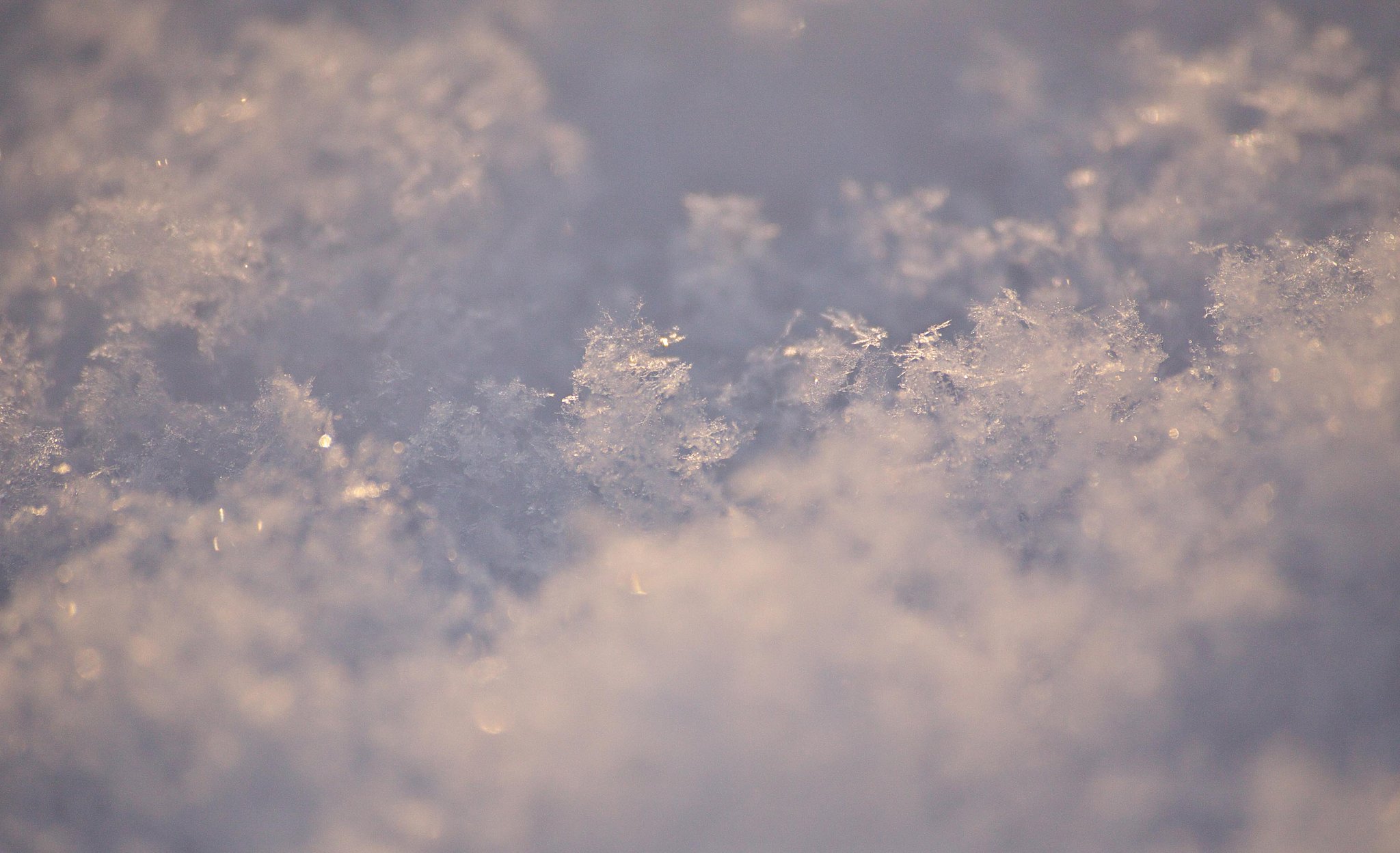 雪印のマーク