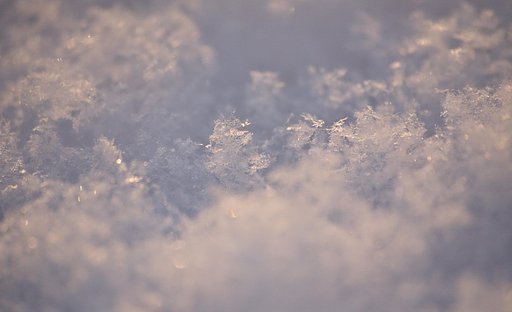 雪印のマーク