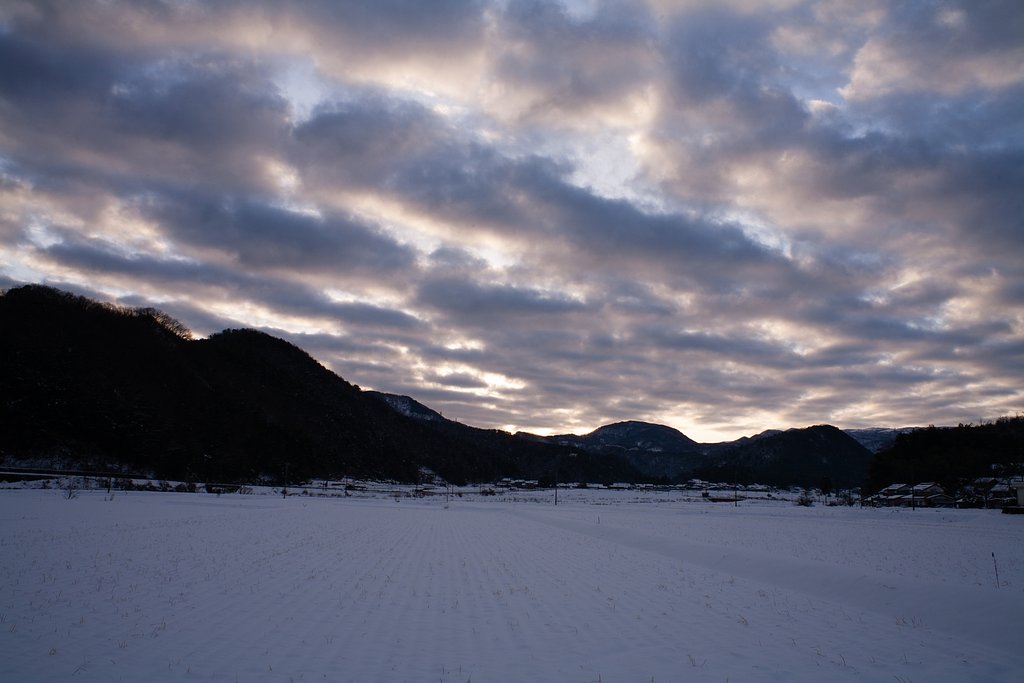 うろこ雲の朝・・。
