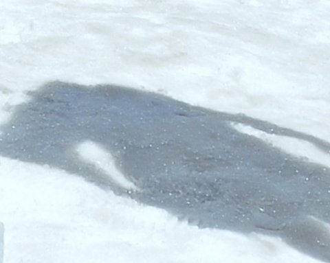 真夏の雪