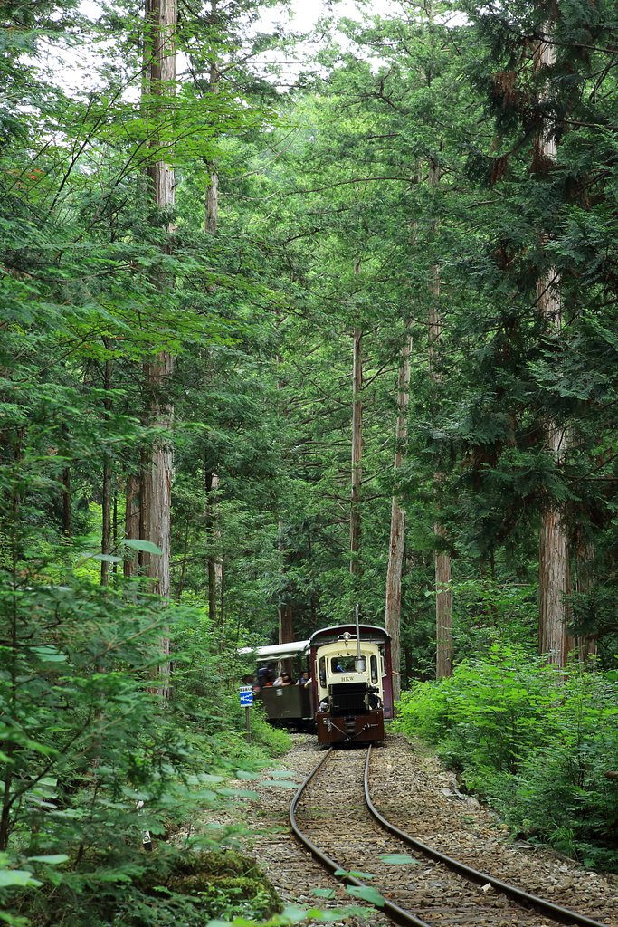 赤沢森林鉄道