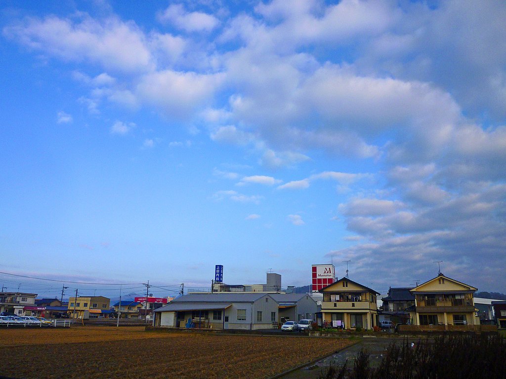 晴れました