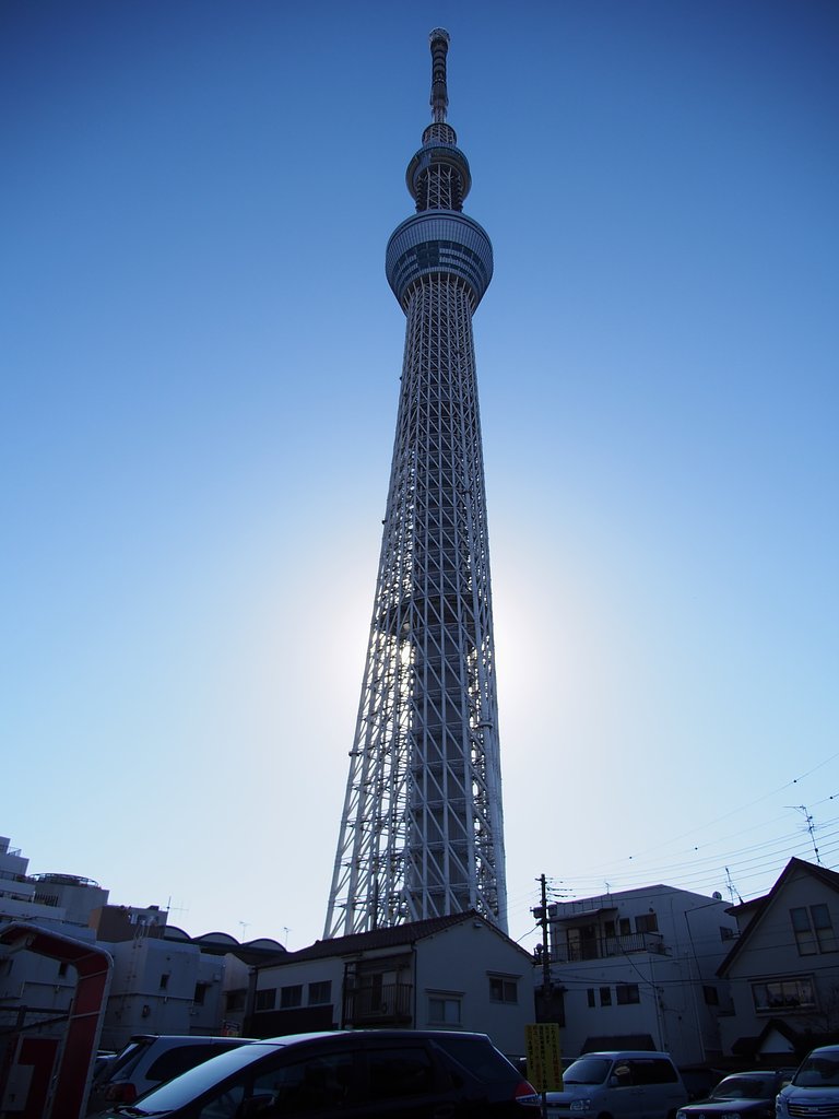 大樹のふもとでは