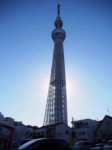 大樹のふもとでは