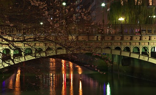 今宵は夜桜見物