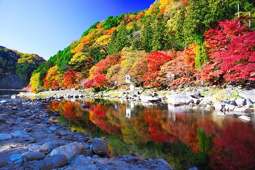 【思い出の写真】 １１月