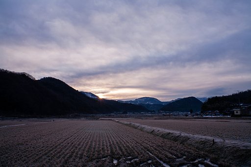 降霜の朝日の出。