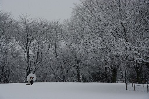 撮ってます