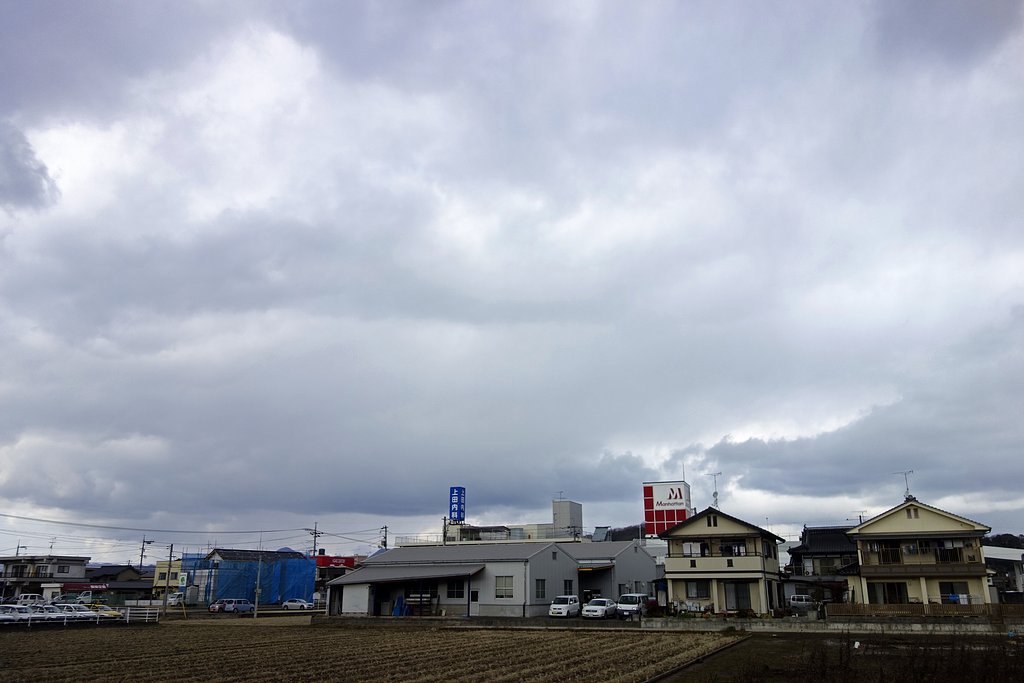鬱陶しい定点