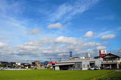 夏から秋へ
