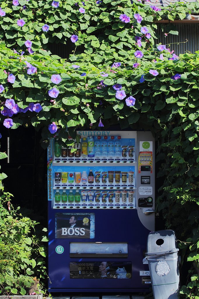 幸せ販売機