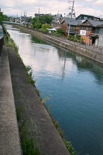 【ときめきＢＬＵＥ】滔滔と流れる水