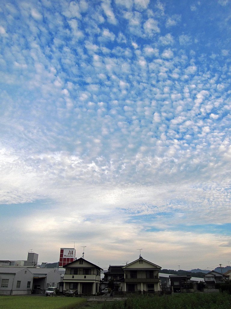 秋空の朝