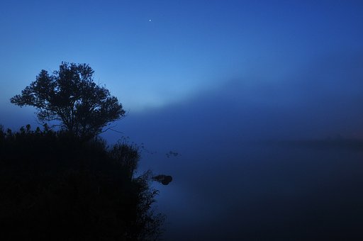 霧の定点