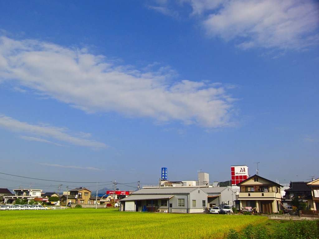 爽やか