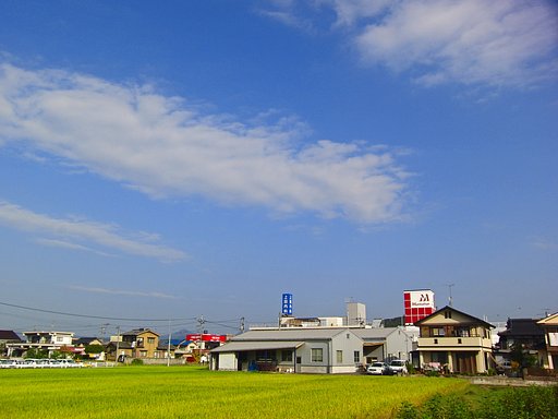 爽やか