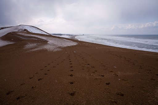 砂丘と日本海。