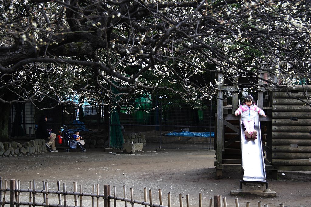 近くの公園で、、