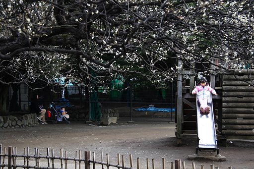 近くの公園で、、
