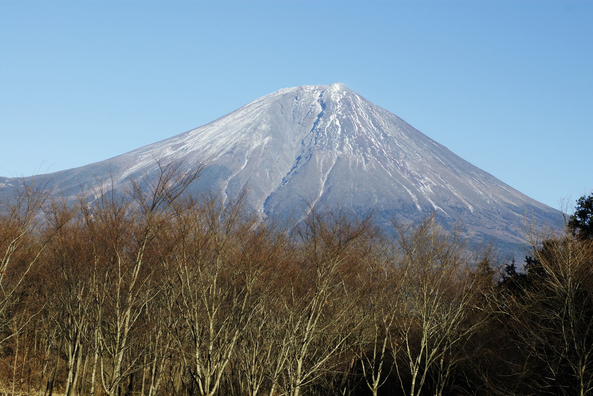 つるきち