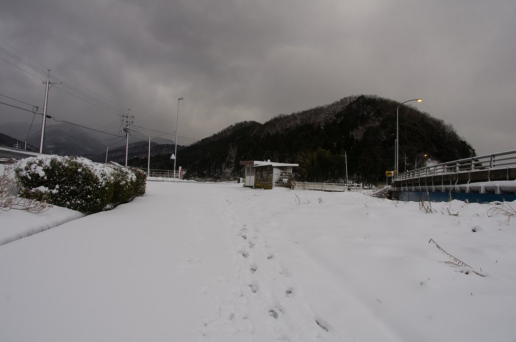 バス停付近の積雪。