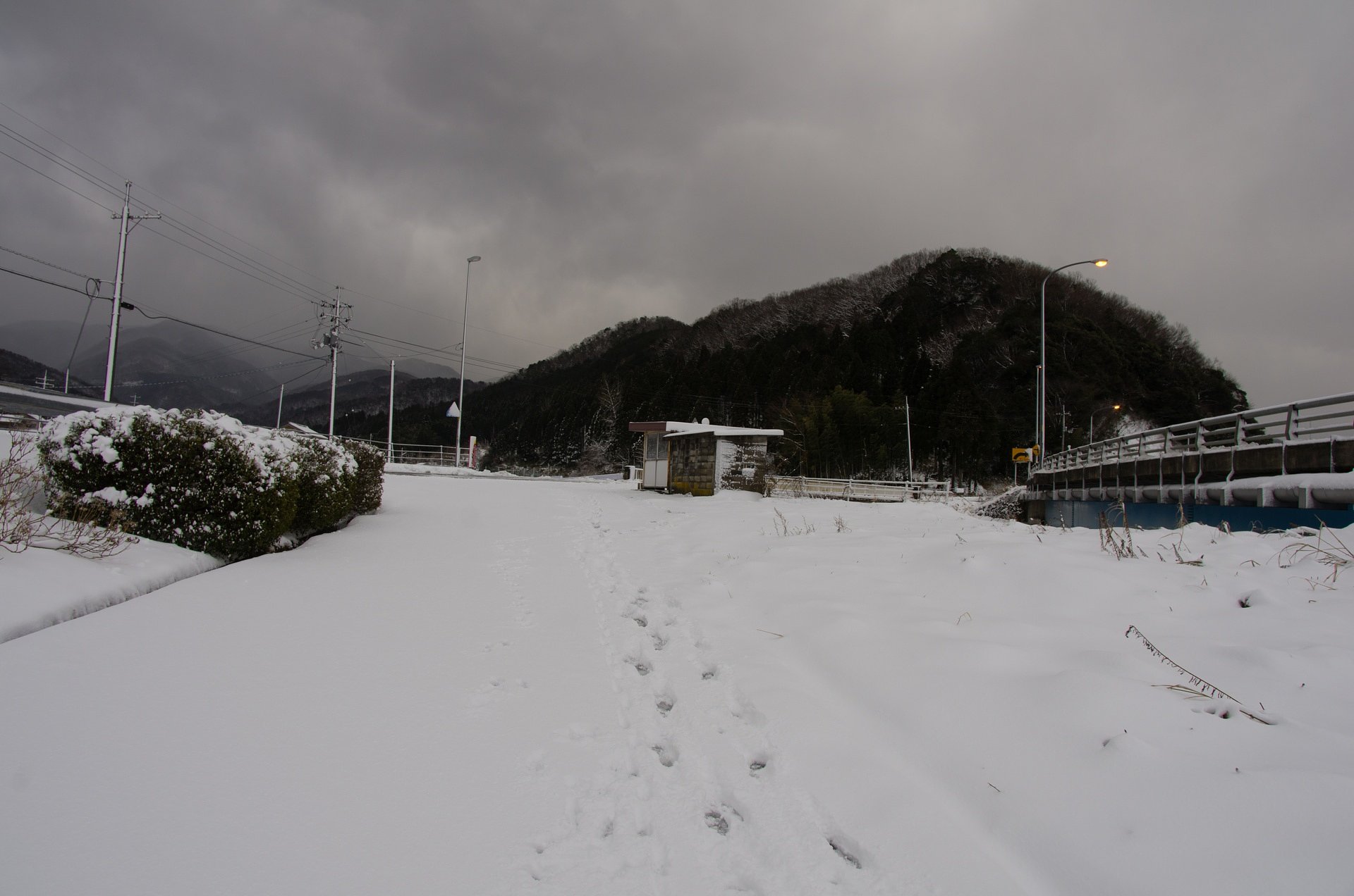 バス停付近の積雪。