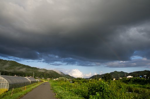 虹が見られました。