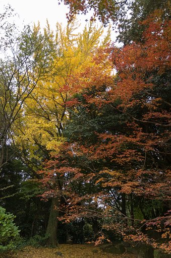 山寺