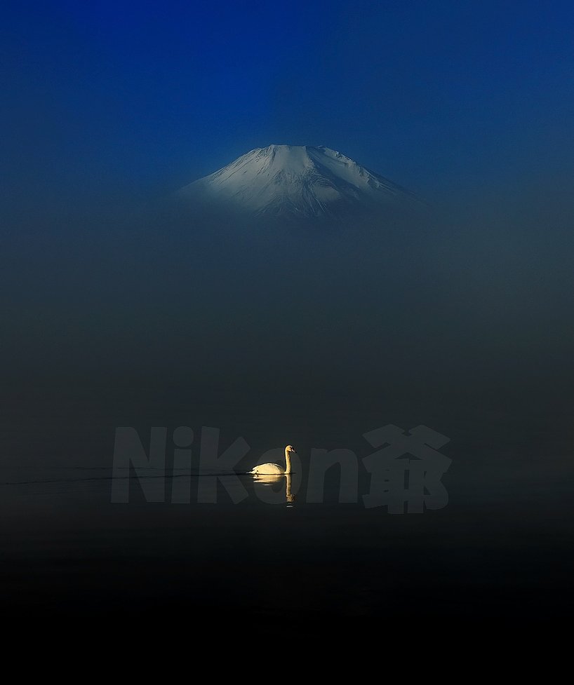 白いもの二つ