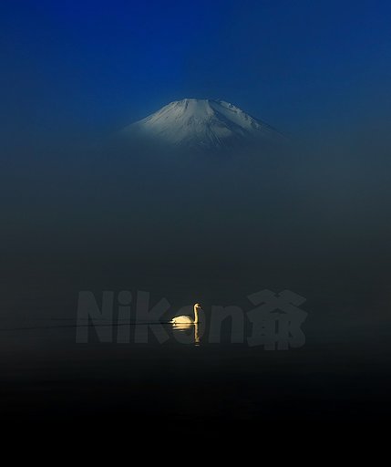白いもの二つ