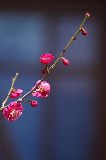 旧土岐邸　＃３
