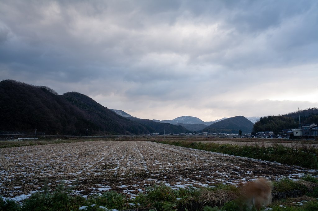 雨がパラパラの朝。