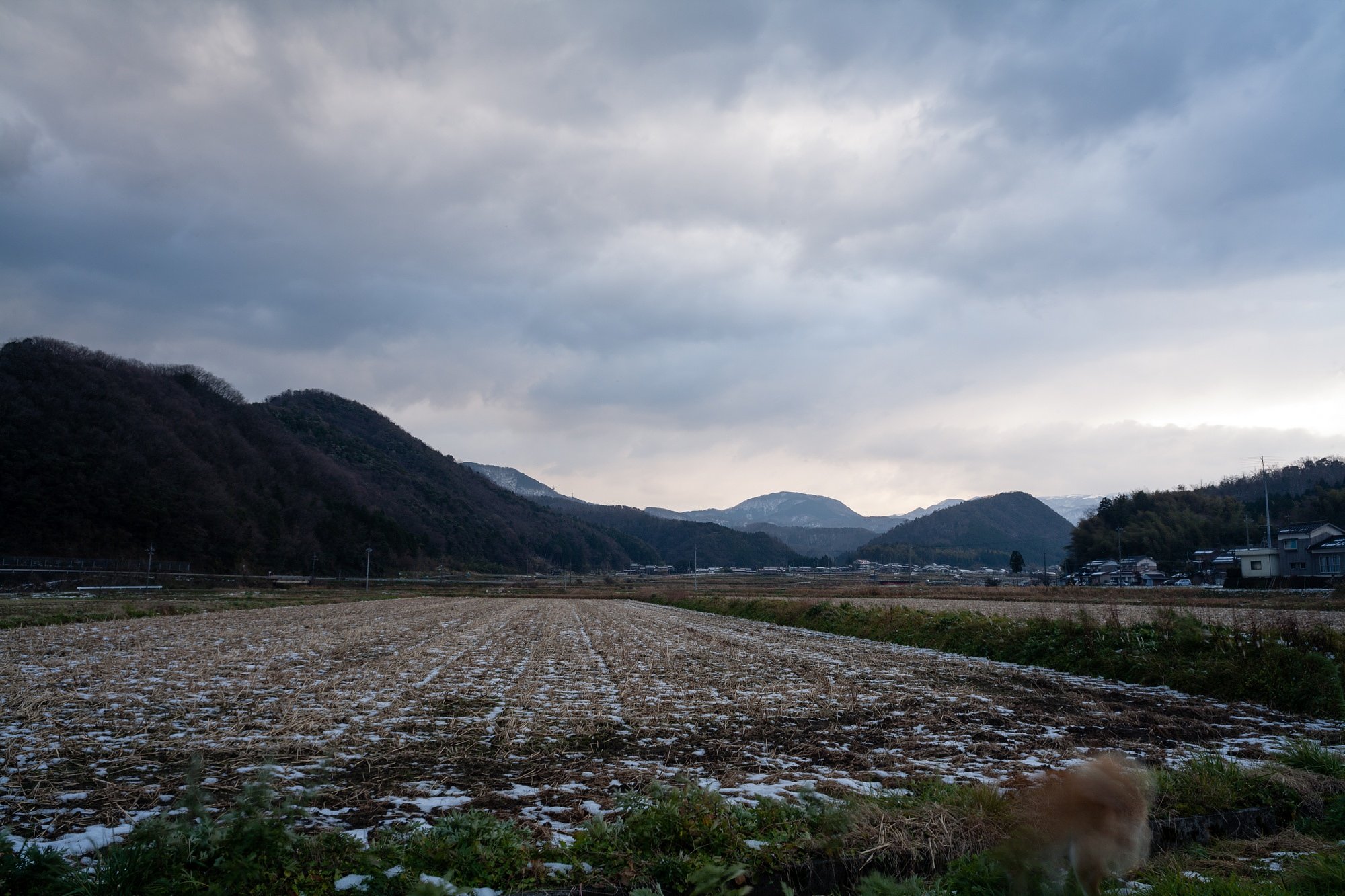 雨がパラパラの朝。