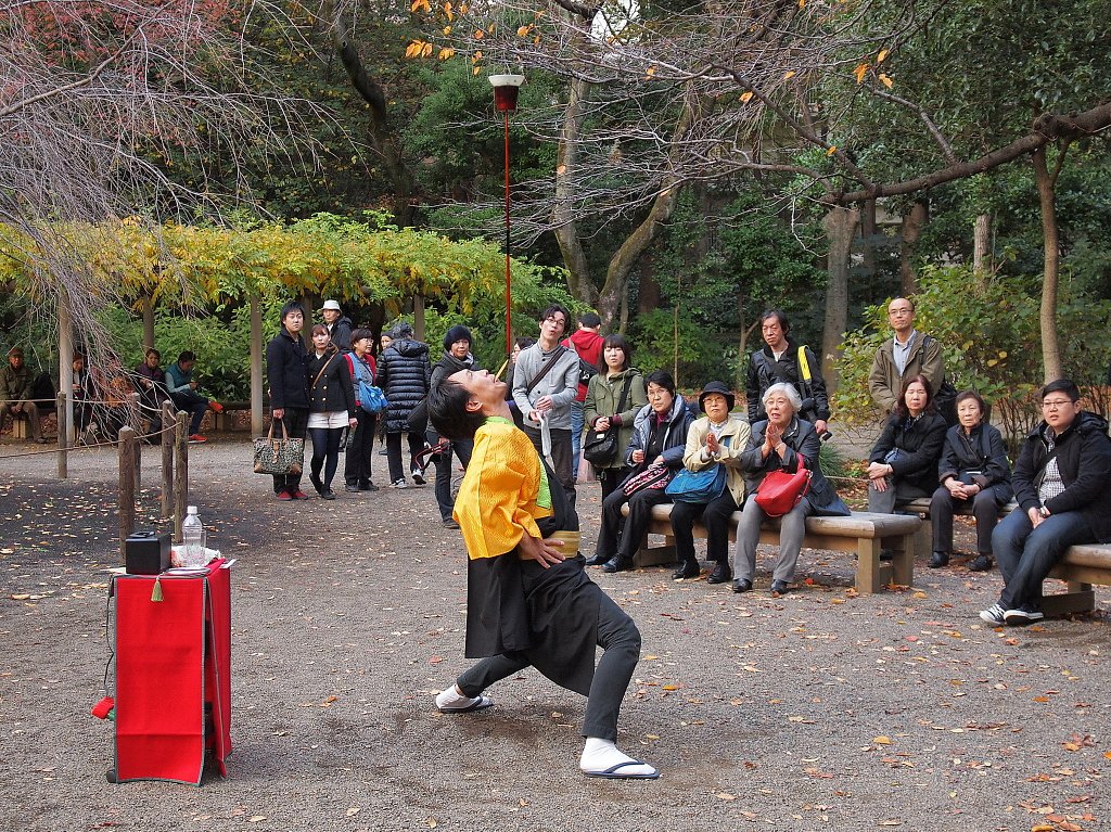 公園の人気者