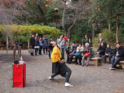 公園の人気者