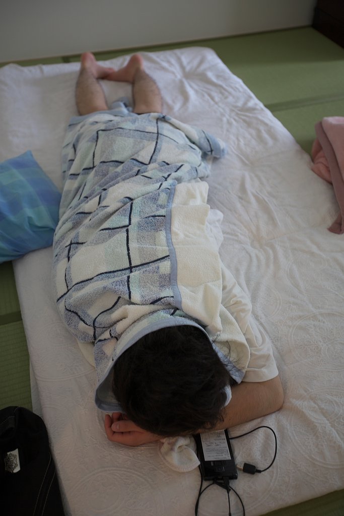 愚息帰省す