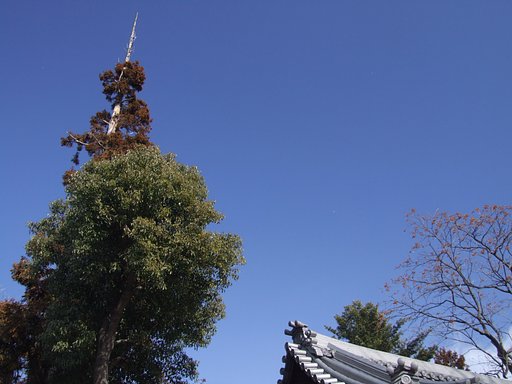 神社上空