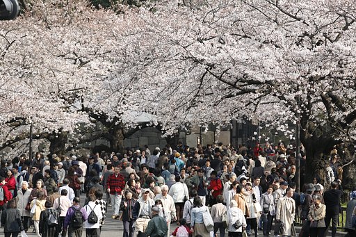 『出』人が出たあ！