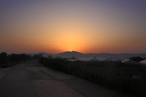 朝靄の日の出